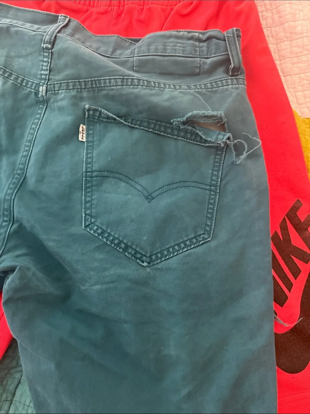 Levi's Teal Distressed Flat Front Men's Shorts and Nike SB Sport Shorts